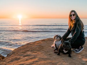 सरकारले देशलाई सही बाटोमा हिडाउन खोजेको छ नेपाली काँग्रेसका सभापति शेरबहादुर देउवाले रुकुम पूर्वको