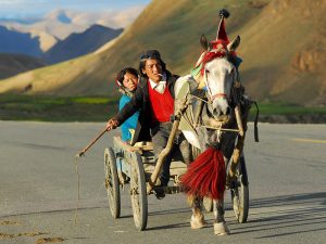 वीरमा क्यान्सर उपचारको अत्याधुनिक टोमोथेरापी रोक्न डाक्टर र   व्यापारीको यस्तो  खेल