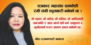 नेपाल पत्रकार महासंघमा समावेशीका सवाल तथा महिला पत्रकारको उपस्थिति हिजो र आज
