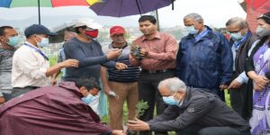 ग्लोबल आइएमई बैंक र विश्वविद्यालय क्याम्पसको सहकार्यमा वृक्षारोपण ग्लोबल आइएमई बैंक र विश्वविद्यालय क्याम्पसको सहकार्यमा वृक्षारोपण
