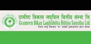 ग्रामीण विकास लघुवित्तको छैठौं वार्षिक साधारण सभा भदौ ५ गते