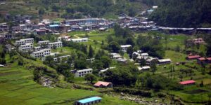 क्लिन, ग्रिन र अर्गानिक जिरी