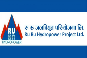 रु रु जलविद्युतको बोनस शेयर घोषणा, बोनस पछि हकप्रद जारी गर्ने