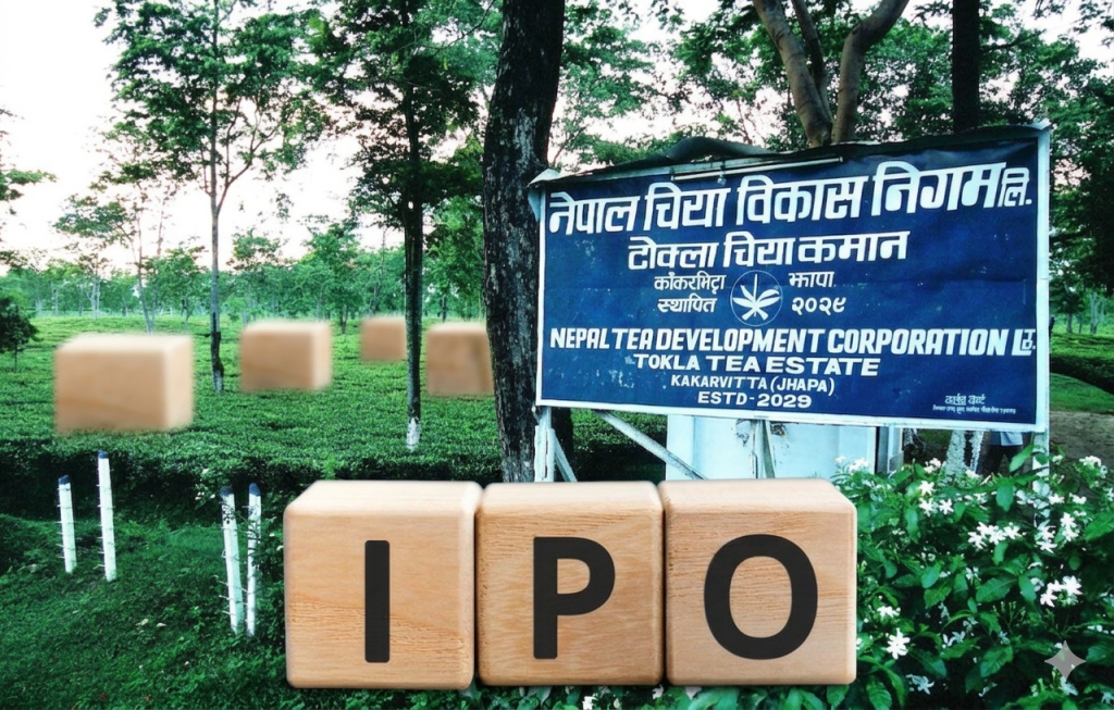 नेपाल चिया विकास निगमको सञ्चालन आम्दानी १ अर्ब माथि, आईपीओ निष्कासनको तयारी