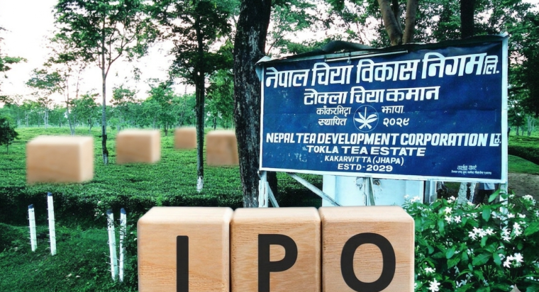 नेपाल चिया विकास निगमको सञ्चालन आम्दानी १ अर्ब माथि, आईपीओ निष्कासनको तयारी