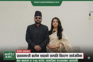 पैतृक सम्पत्तिदेखि डिजिटल कमाइको चर्चा: प्रधानमन्त्रीको सम्पत्तिमा के-के देखियो?