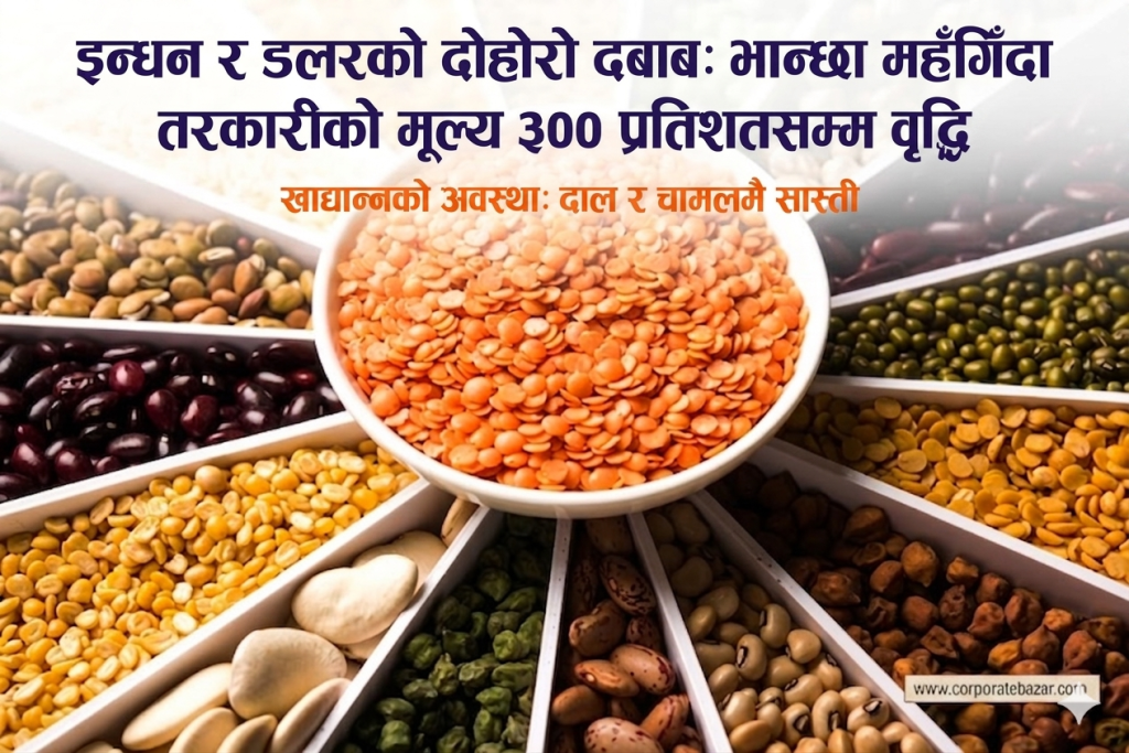 इन्धन र डलरको दोहोरो दबाब: भान्छा महँगिँदा तरकारीको मूल्य ३०० प्रतिशतसम्म वृद्धि