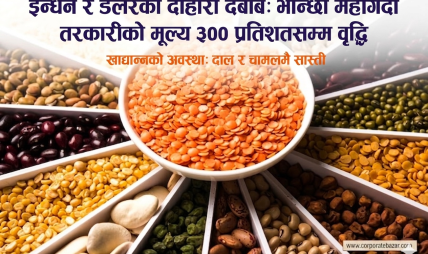 इन्धन र डलरको दोहोरो दबाब: भान्छा महँगिँदा तरकारीको मूल्य ३०० प्रतिशतसम्म वृद्धि