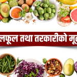 यस्तो छ, आजको तरकारी तथा फलफूलको मूल्य