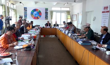 विकास आर्थिक समितिमा आगामि आर्थिक वर्षको बजेट तर्जुमाको तयारीबारेमा छलफल