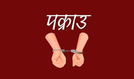 कृष्ण मन्दिर अगाडि छुरा प्रहार घटनामा संलग्न दुई जना पक्राउ