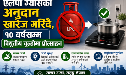 एलपी ग्यासको अनुदान खारेज गरिँदै, १० वर्षसम्म विद्युतीय चुल्होमा प्रोत्साहन एलपी ग्यासको अनुदान खारेज गरिँदै, १० वर्षसम्म विद्युतीय चुल्होमा प्रोत्साहन