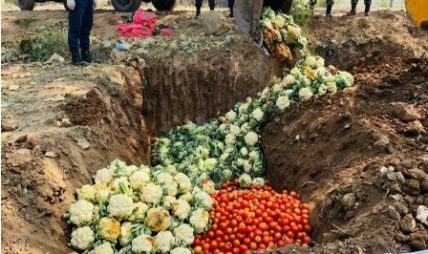तरकारीमा अत्यधिक बिषादी भेटिएपछि कडाई