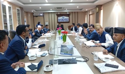 विद्युत प्राधिकरणका उपकार्यकारी निर्देशकहरूलाई ऊर्जा मन्त्रीको निर्देशन: असार १५ भित्र विस्तृत कार्ययोजना ल्याउनुस्
