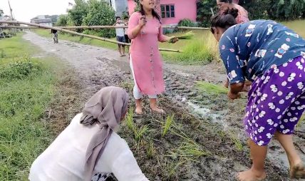 वर्षामा सडकको सास्ती, स्थानीयले गरे सडकमै रोपाईं वर्षामा सडकको सास्ती, स्थानीयले गरे सडकमै रोपाईं