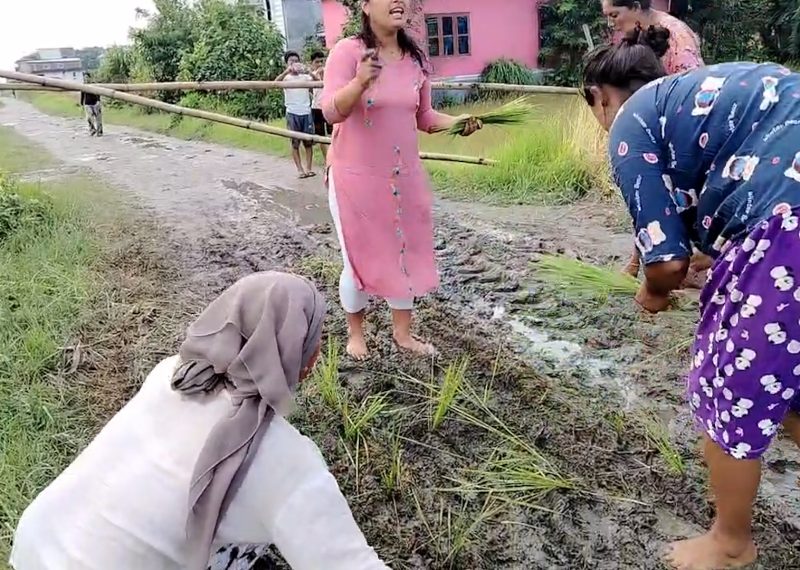 वर्षामा सडकको सास्ती, स्थानीयले गरे सडकमै रोपाईं वर्षामा सडकको सास्ती, स्थानीयले गरे सडकमै रोपाईं