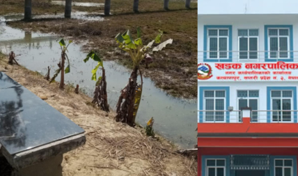 गम्हरिया पोखरी सौन्दर्यीकरण अलपत्र, ठेकेदारसँग स्पष्टीकरण माग्दै ठेक्का रद्द प्रक्रियामा खडक नगरपालिका गम्हरिया पोखरी सौन्दर्यीकरण अलपत्र, ठेकेदारसँग स्पष्टीकरण माग्दै ठेक्का रद्द प्रक्रियामा खडक नगरपालिका