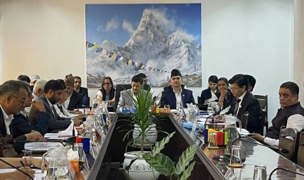 संसदीय सुनुवाइमा उजुरीकर्तामाथि सांसदहरूको प्रश्न ; ‘दरपीठपछि के गर्नुभयो ?’