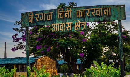 वीरगञ्ज चिनी कारखाना पुनः सञ्चालनको सम्भाव्यता अध्ययन गर्न कार्यदल गठन वीरगञ्ज चिनी कारखाना पुनः सञ्चालनको सम्भाव्यता अध्ययन गर्न कार्यदल गठन