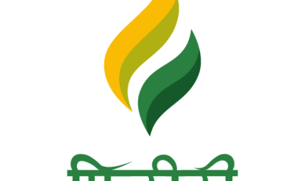 मोबिलिटीदेखि शिक्षासम्मका दर्जनौँ सेवा एउटै एपबाट फिरिरी