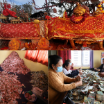 पाथीभरामा एक वर्षमा चार करोड ८२ लाख बढी भेटी संकलन पाथीभरामा एक वर्षमा चार करोड ८२ लाख बढी भेटी संकलन