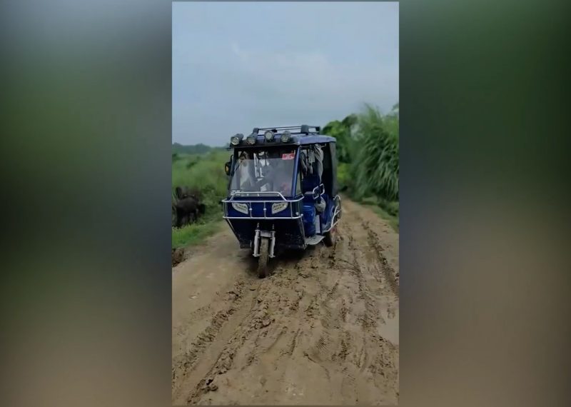 सडकको बेहाल : हिलोको पोखरी र खाल्डैखाल्डाले हिड्न सास्ती