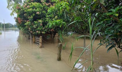 रौतहटका धान खेत जलाशयमा परिणत, किसान मर्कामा रौतहटका धान खेत जलाशयमा परिणत, किसान मर्कामा