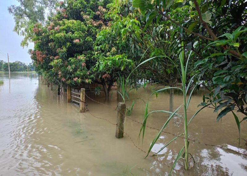 रौतहटका धान खेत जलाशयमा परिणत, किसान मर्कामा 