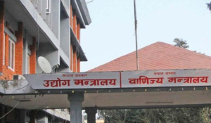 उद्योग मन्त्रालयको अपिल : १५ दिन पुग्ने ग्यास छ भने अनावश्यक लाइनमा नबस्न आग्रह उद्योग मन्त्रालयको अपिल : १५ दिन पुग्ने ग्यास छ भने अनावश्यक लाइनमा नबस्न आग्रह